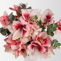 Schnittblumen-Mix aus 5 rot-weißen Amaryllis & 5 Eukalyptus