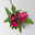 Calla rosa, Topf-Ø 11 cm, Höhe ca. 27 cm, 2er-Set