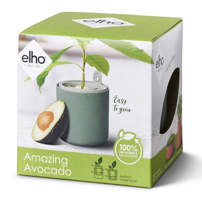 Elho Pflanzgefäß 'Amazing Avocado Pot', laubgrün, ca. Ø 12 x H 15,1 cm Elho Pflanzgefäß 'Amazing Avocado Pot', laubgrün, ca. Ø 12 x H 15,1 cm