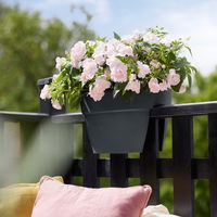 Elho Pflanzgefäß 'Vibia Campana Flower Bridge', anthrazit Elho Pflanzgefäß 'Vibia Campana Flower Bridge', anthrazit