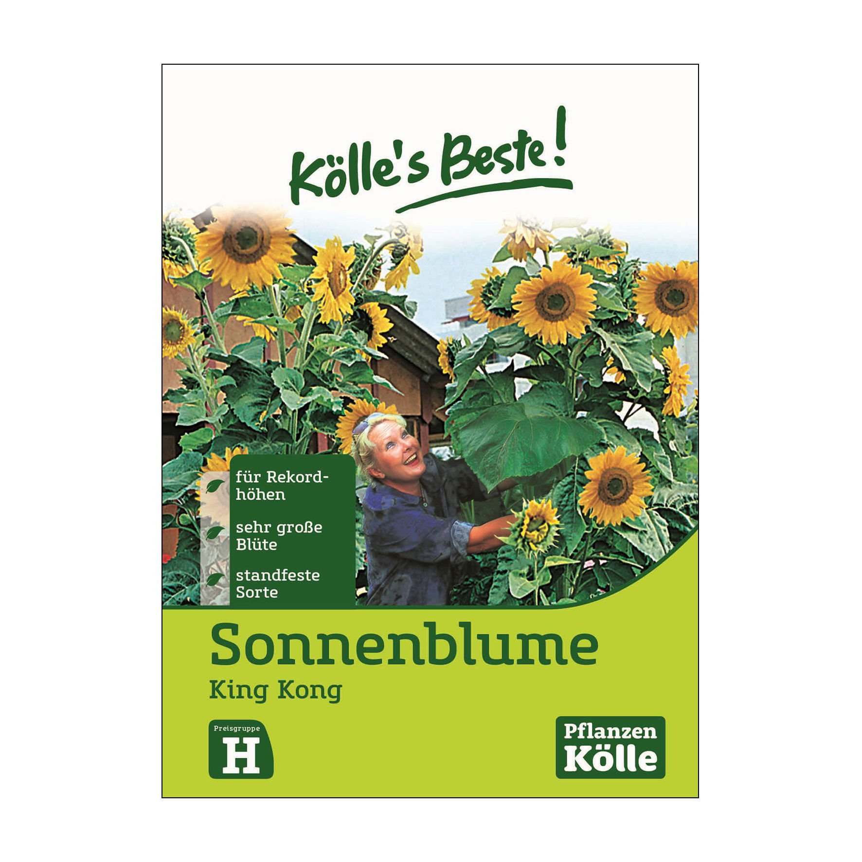 Blumensamen, Sonnenblume 'King Kong' online kaufen PflanzenKölle