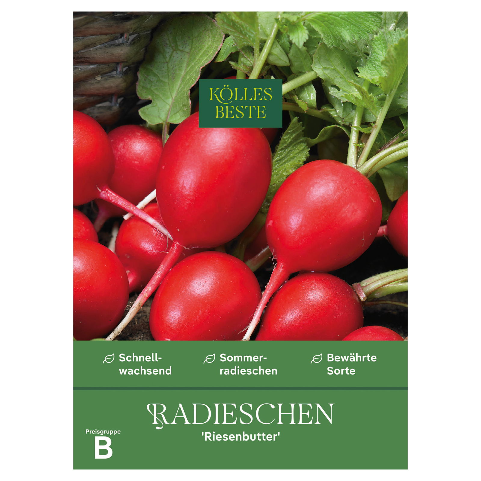 Kölles Beste Gemüsesamen, Radieschen 'Riesenbutter'