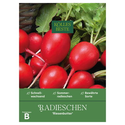 Kölles Beste Gemüsesamen, Radieschen 'Riesenbutter'