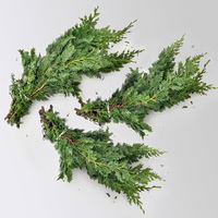 Scheinzypresse 'Wisselii' im Handbund, 3 Bund Scheinzypresse 'Wisselii' im Handbund, 3 Bund