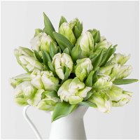 Blumenbund Tulpen 'Super Parrot', 20er-Bund, weiß-grün, inkl. gratis Grußkarte