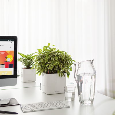 Lechuza 'Cube Glossy 16', weiß, ca. 17 x 17 x H 16 cm Lechuza 'Cube Glossy 16', weiß, ca. 17 x 17 x H 16 cm