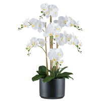 Kunstpflanze Phalaenopsis, weiß/schwarz, Höhe ca. 77 cm