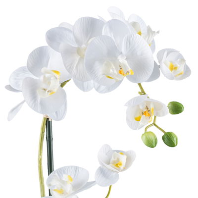 Kunstpflanze Phalaenopsis, weiß/schwarz, Höhe ca. 50 cm Kunstpflanze Phalaenopsis, weiß/schwarz, Höhe ca. 50 cm
