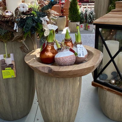 Amaryllis in Wachs XL, Dekor 'Superior Kupfer', Blüte rot Amaryllis in Wachs XL, Dekor 'Superior Kupfer', Blüte rot