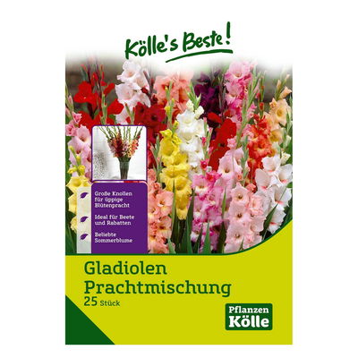 Gladiolen Prachtmischung, 25 Blumenknollen Gladiolen Prachtmischung, 25 Blumenknollen