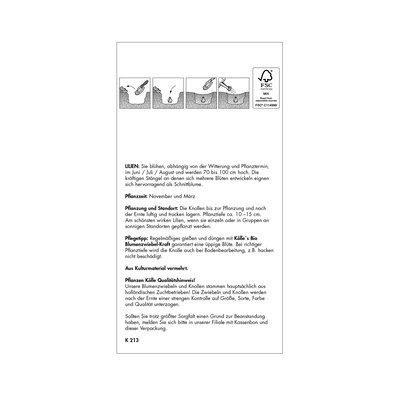 Gefüllte Oriental Lilie Broken Heart, zartrosa-weiß, 2 Blumenknollen