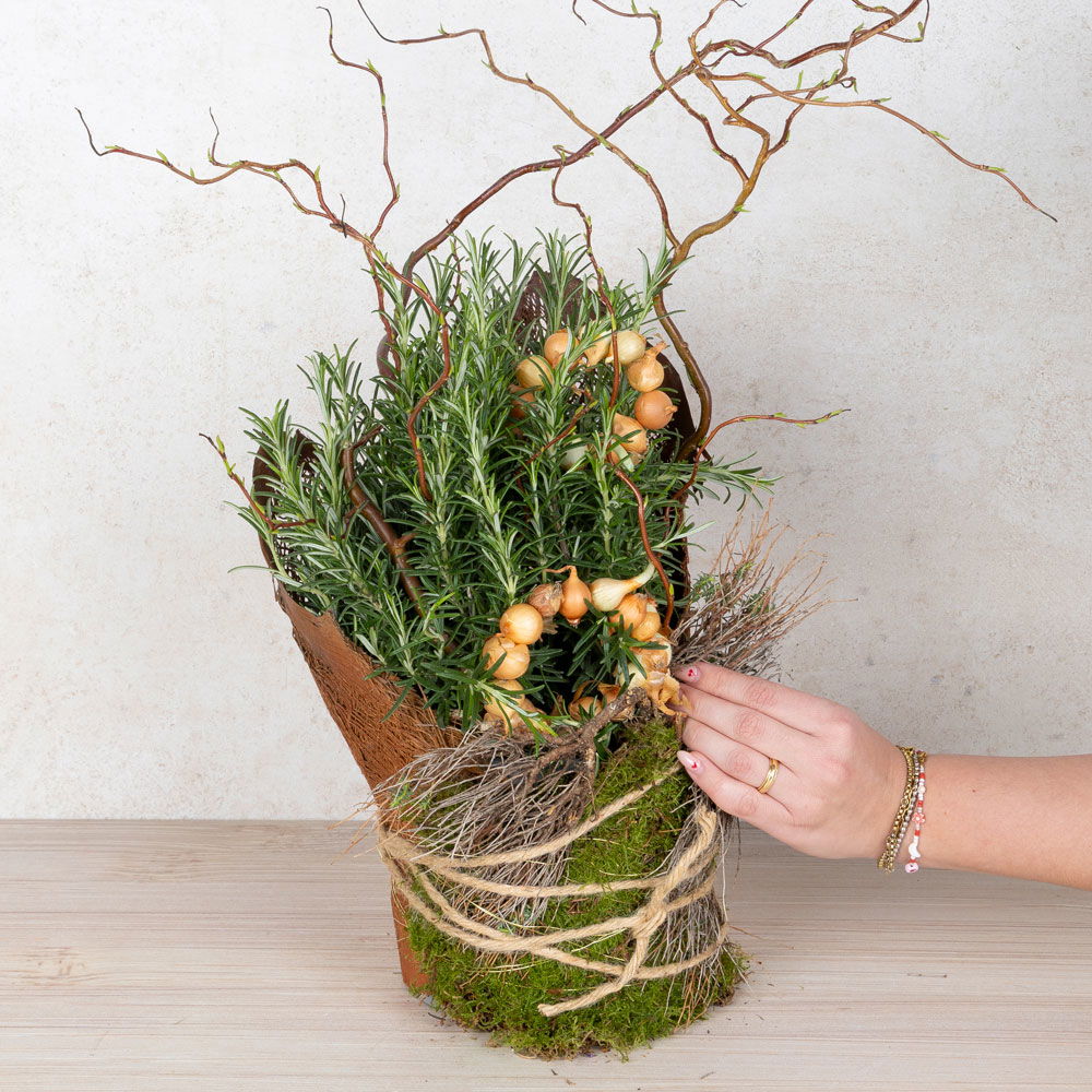 Workshop zum Kräuter-Erlebnistag 