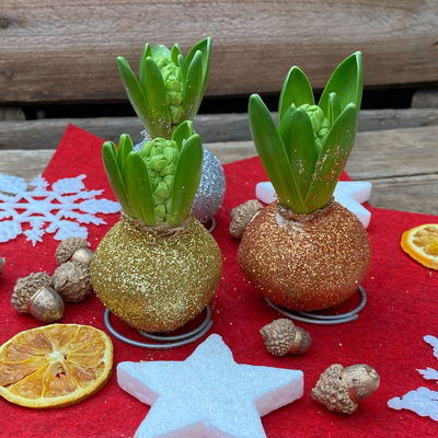 Hyazinthe in Wachs Glitter Metallic Mix, Farben zufällig, 4 Stück