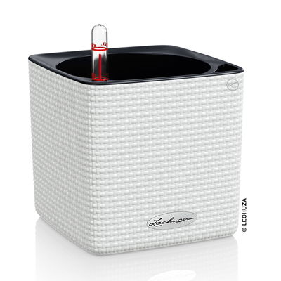 Lechuza 'Cube Color 14', weiß, ca. 14 x 14 x H 13,5 cm