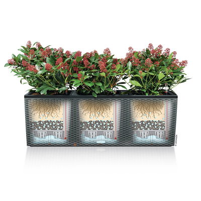 Lechuza 'Trio Cottage 40', granit, ca. 129,5 x 42 x H 44 cm