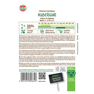 Saatgut Aubergine 'Galine' Saatgut Aubergine 'Galine'