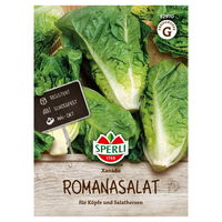 Sperli Saatgut Romanasalat 'Xanadu', grün Sperli Saatgut Romanasalat 'Xanadu', grün