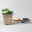 Bio Erdbeere Hummi® 'Kletter-Toni', Topf 11x 11 cm, 3 Pflanzen