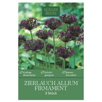 Allium 'Firmament', blau, 3 Blumenzwiebeln