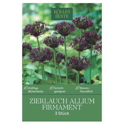 Allium 'Firmament', blau, 3 Blumenzwiebeln