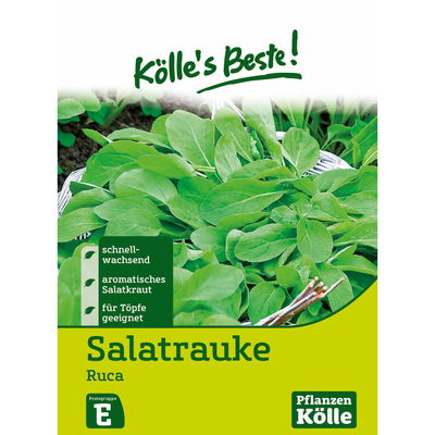 Kölles Beste Kräutersamen Salatrauke Ruca
