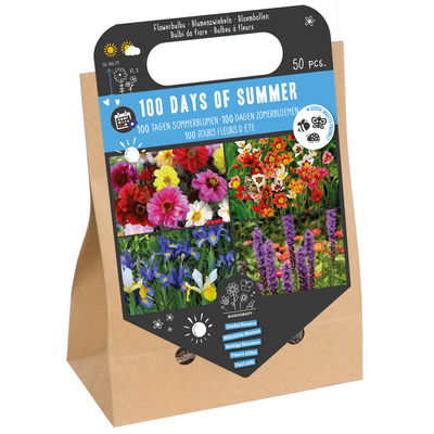 Nützliche Blumenzwiebeln '100 Days of Summer'