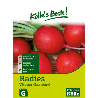 Kölles Beste Gemüsesamen Radies 
