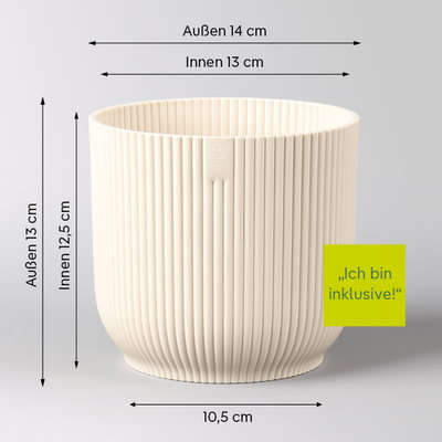 Glückskastanie, Topf-Ø 12 cm, inkl. Übertopf Vibes leinenweiß Glückskastanie, Topf-Ø 12 cm, inkl. Übertopf Vibes leinenweiß