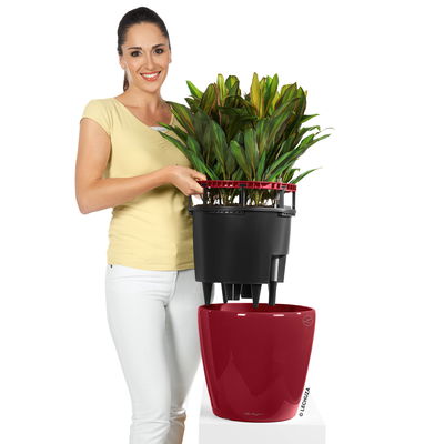 Lechuza 'Classico LS 43', scarlet-rot, ca. Ø 43 x H 40 cm