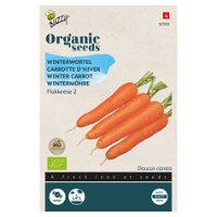 Gemüsesamen, Winter-Möhre 'Flakkese 2', orange, 1,5 g