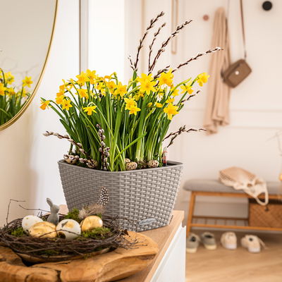 Lechuza 'Bacino Cottage', sandbraun, ca. 30 x 30 x H 18 cm Lechuza 'Bacino Cottage', sandbraun, ca. 30 x 30 x H 18 cm