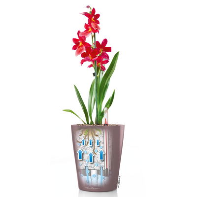 Lechuza 'Mini-Deltini', weiß, ca. 10 x 10 x H 13 cm