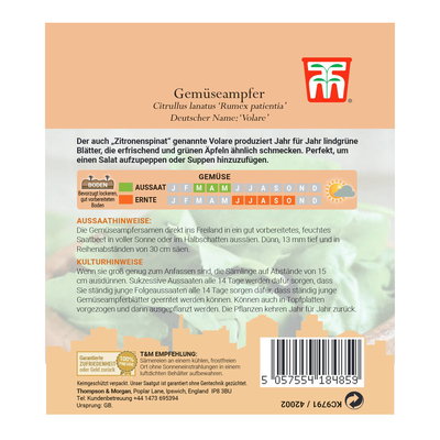 Gemüsesamen, Gemüseampfer 'Volare', grün, 150 Stück