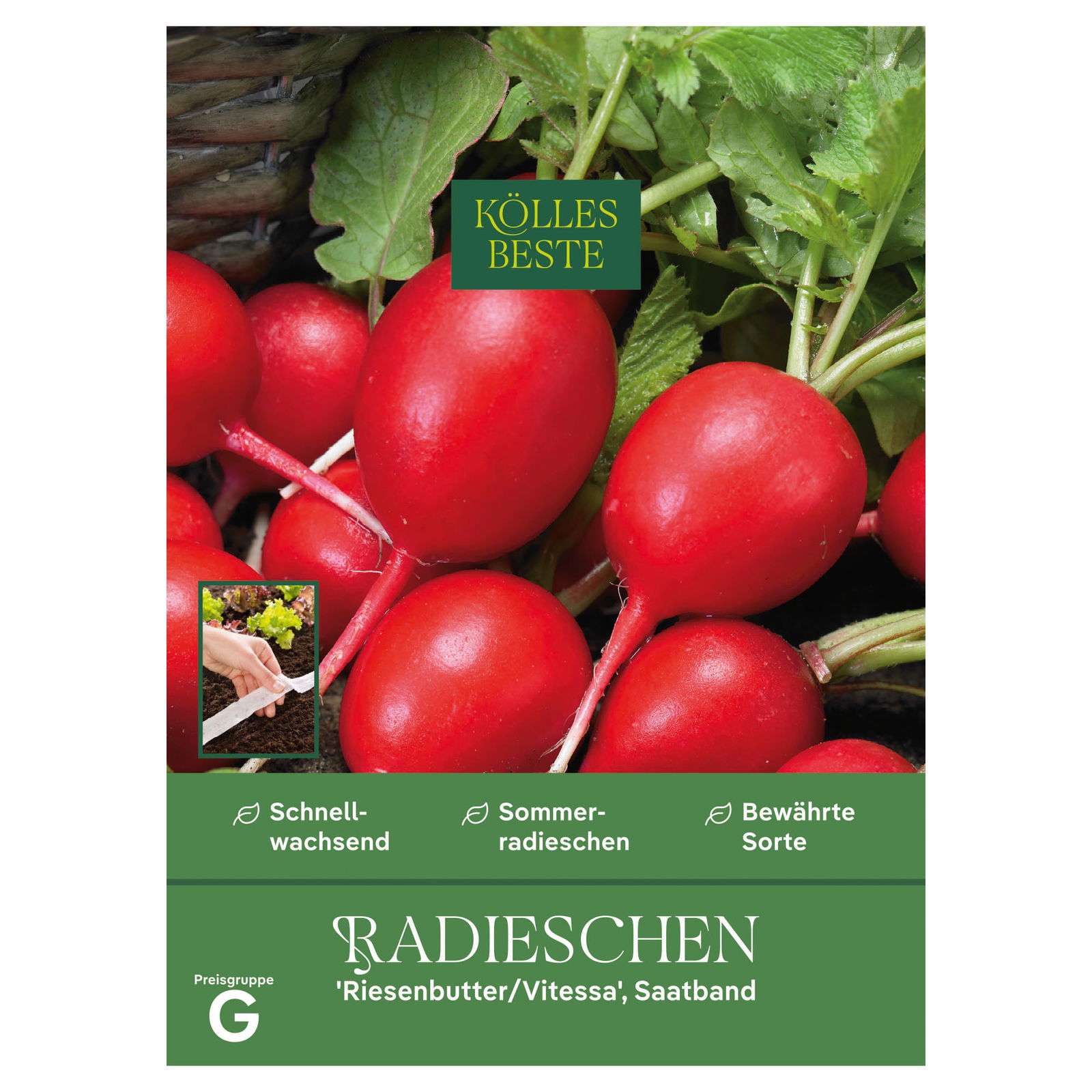 Kölles Beste Gemüsesamen Radies Kölles Beste Gemüsesamen Radies