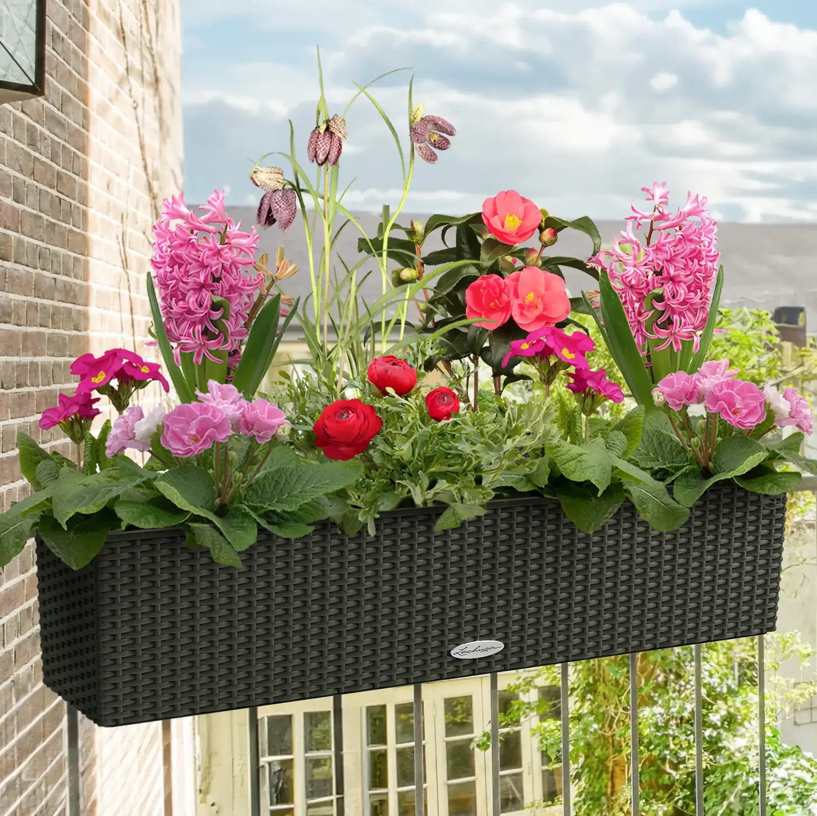 Frühlingskuss Frühlingskuss