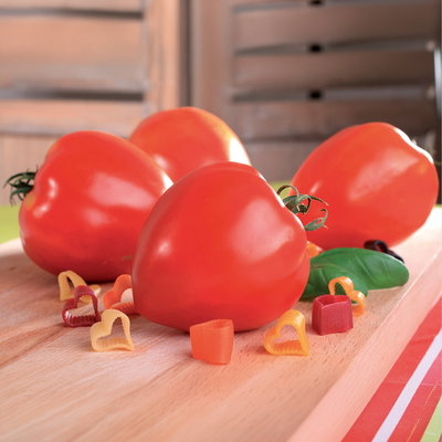 Bio Ochsenherztomate 'Fleurette', Topf-Ø 12 cm, 3 Pflanzen