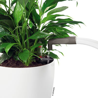 Lechuza Gießhilfe 'Pico', schiefergrau