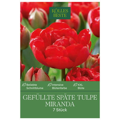 Gefüllte späte Tulpen Miranda rot, 7 Blumenzwiebeln Gefüllte späte Tulpen Miranda rot, 7 Blumenzwiebeln