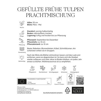 Gefüllte frühe Tulpen Prachtmischung 20 Blumenzwiebeln Gefüllte frühe Tulpen Prachtmischung 20 Blumenzwiebeln