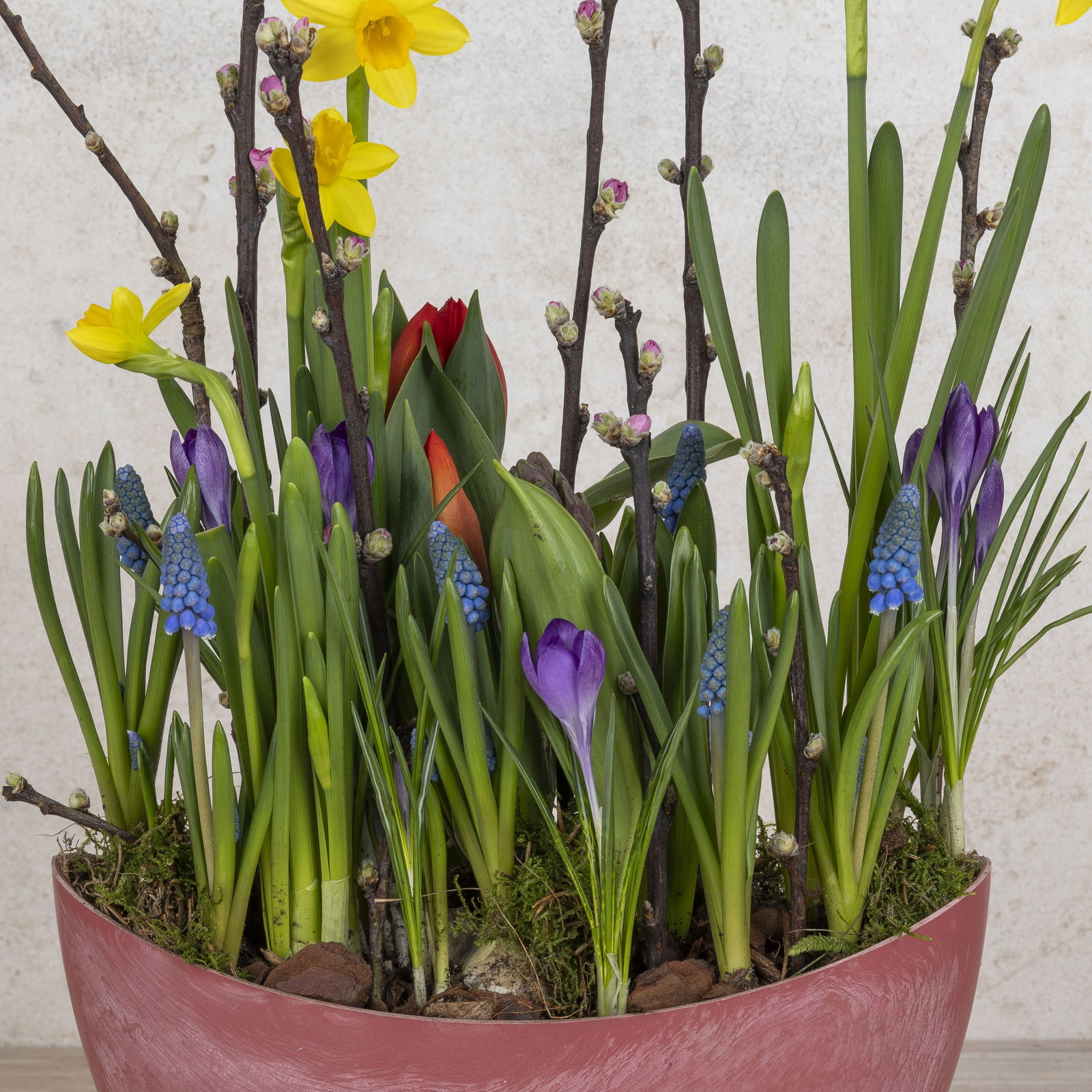 Workshop Erlebnis-Shopping 