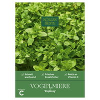 Kölles Beste Saatgut, Vogelmiere 'Einjährig'