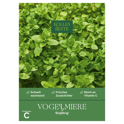 Kölles Beste Saatgut, Vogelmiere 'Einjährig'