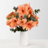 Schnittblumen-Mix aus 5 lachsfarbenen Amaryllis & 5 Eukalyptus