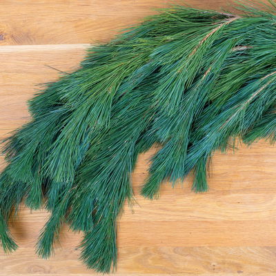 Seidenkiefer im Handbund, ca. 100-120 cm lang, 5 Bund Seidenkiefer im Handbund, ca. 100-120 cm lang, 5 Bund