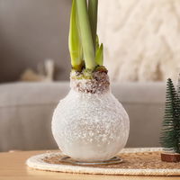Amaryllis in Wachs XL, Dekor 'Snow White', Blüte weiß