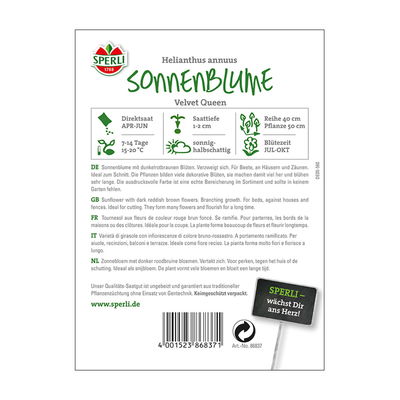 Blumensamen, Sonnenblume 'Velvet Queen' Blumensamen, Sonnenblume 'Velvet Queen'