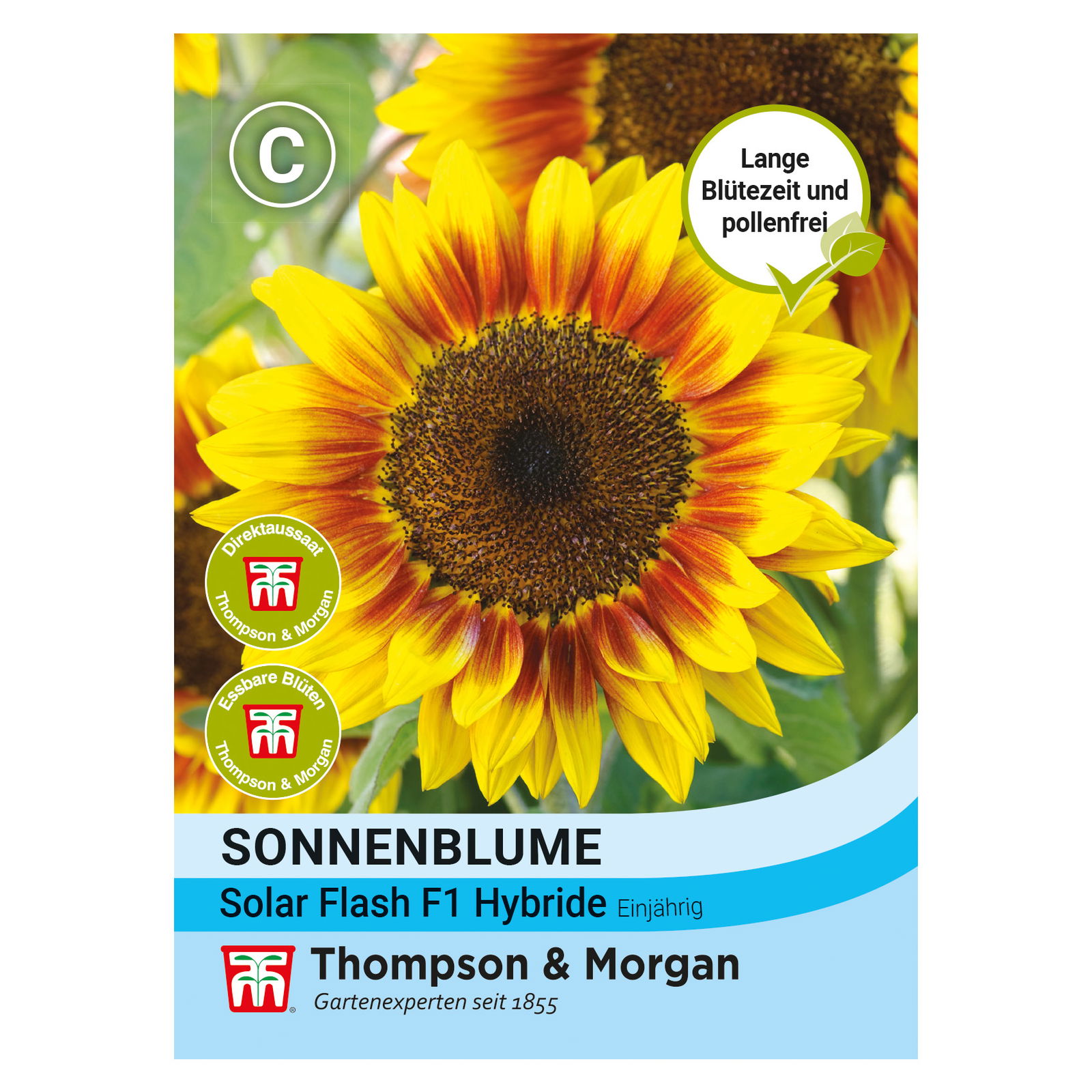 Thompson & Morgan Saatgut, Sonnenblume 'Solar Flash'