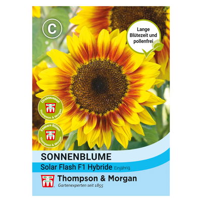 Thompson & Morgan Saatgut, Sonnenblume 'Solar Flash' Thompson & Morgan Saatgut, Sonnenblume 'Solar Flash'