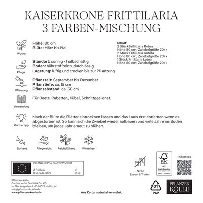 Kaiserkrone (Fritillaria) 3-Farben Mischung, 5 Blumenzwiebeln