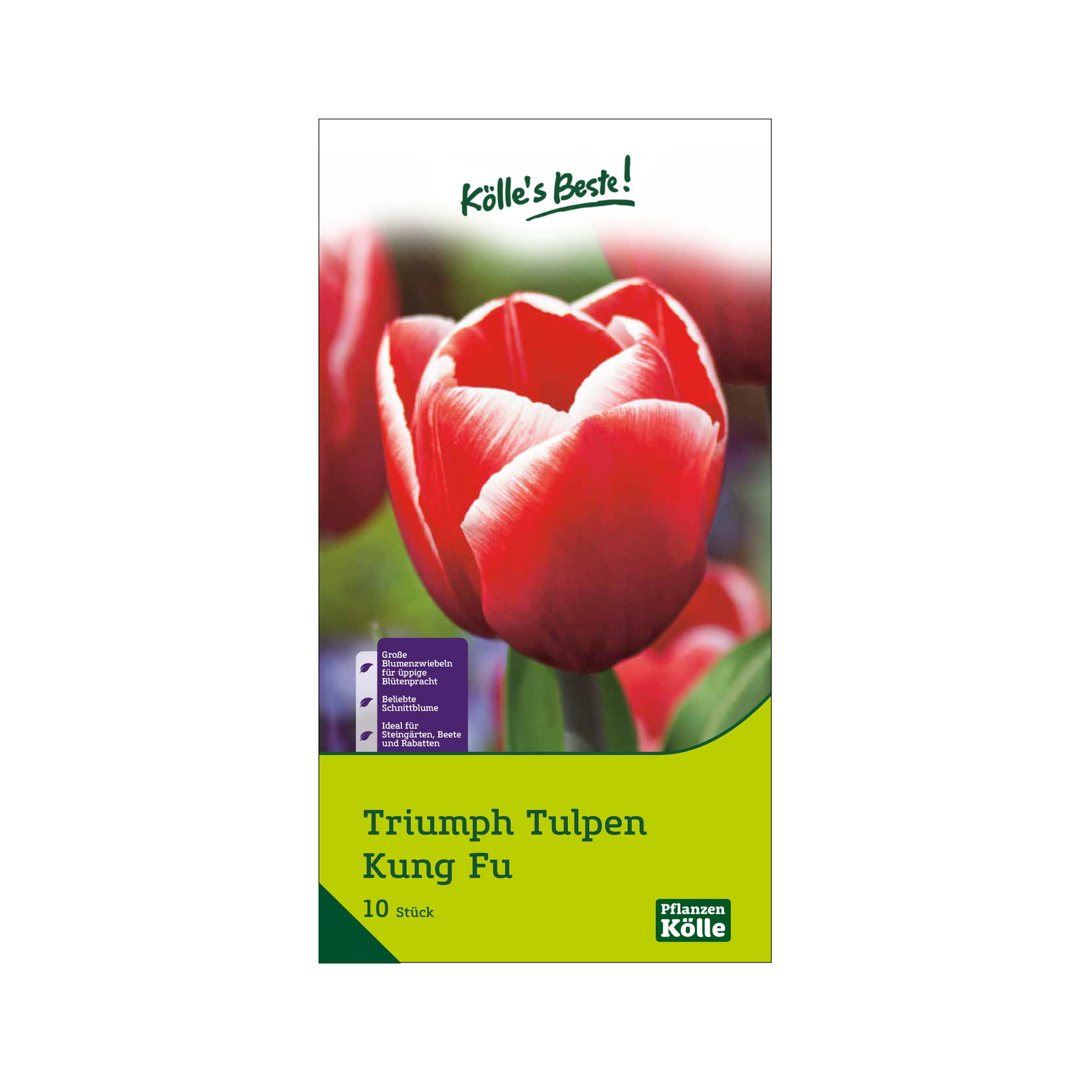 Triumph Tulpen 'Kung Fu', rot, 10 Blumenzwiebeln